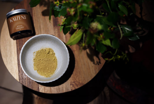 Beginner's Guide to Hojicha